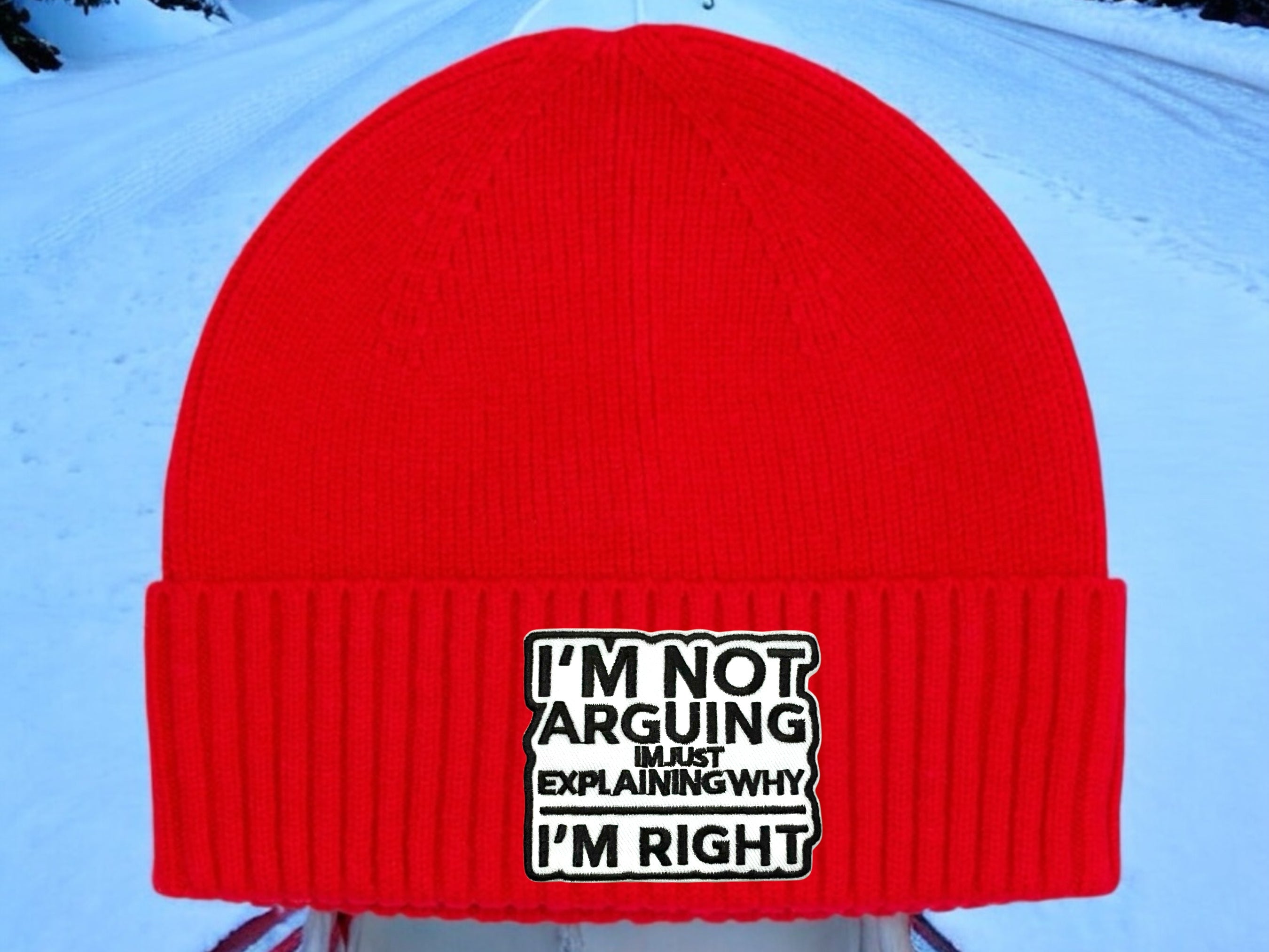 I'm Not Arguing - Beanie