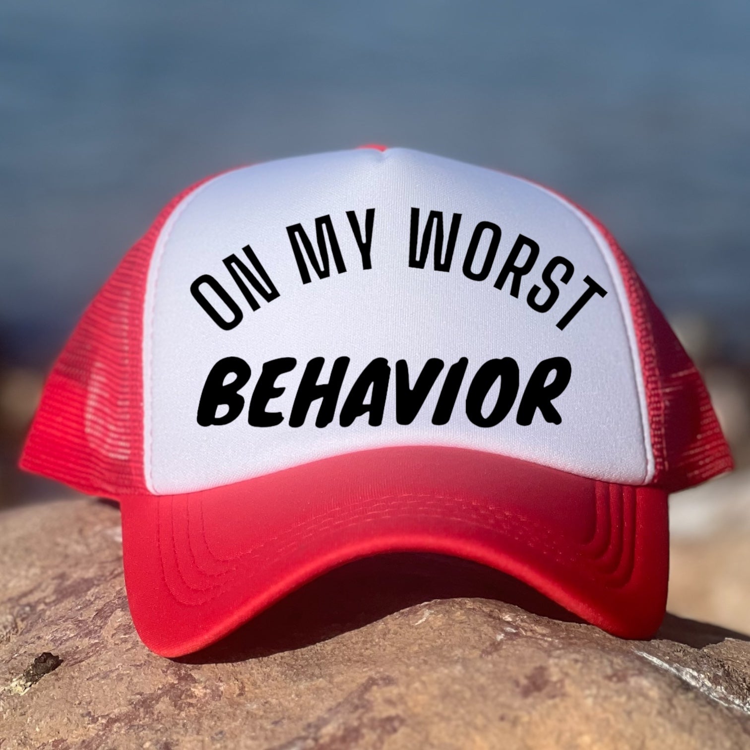 On My Behavior