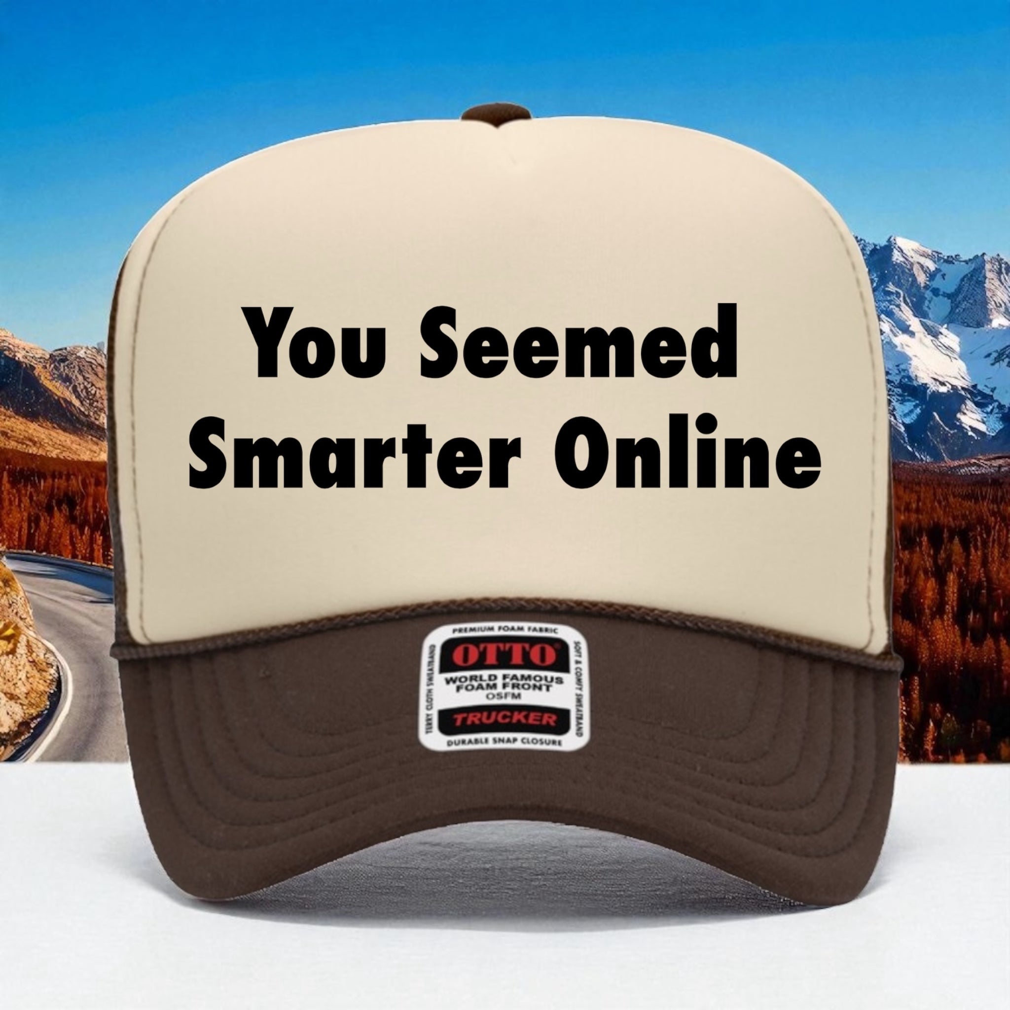 You Seemed Smarter Online