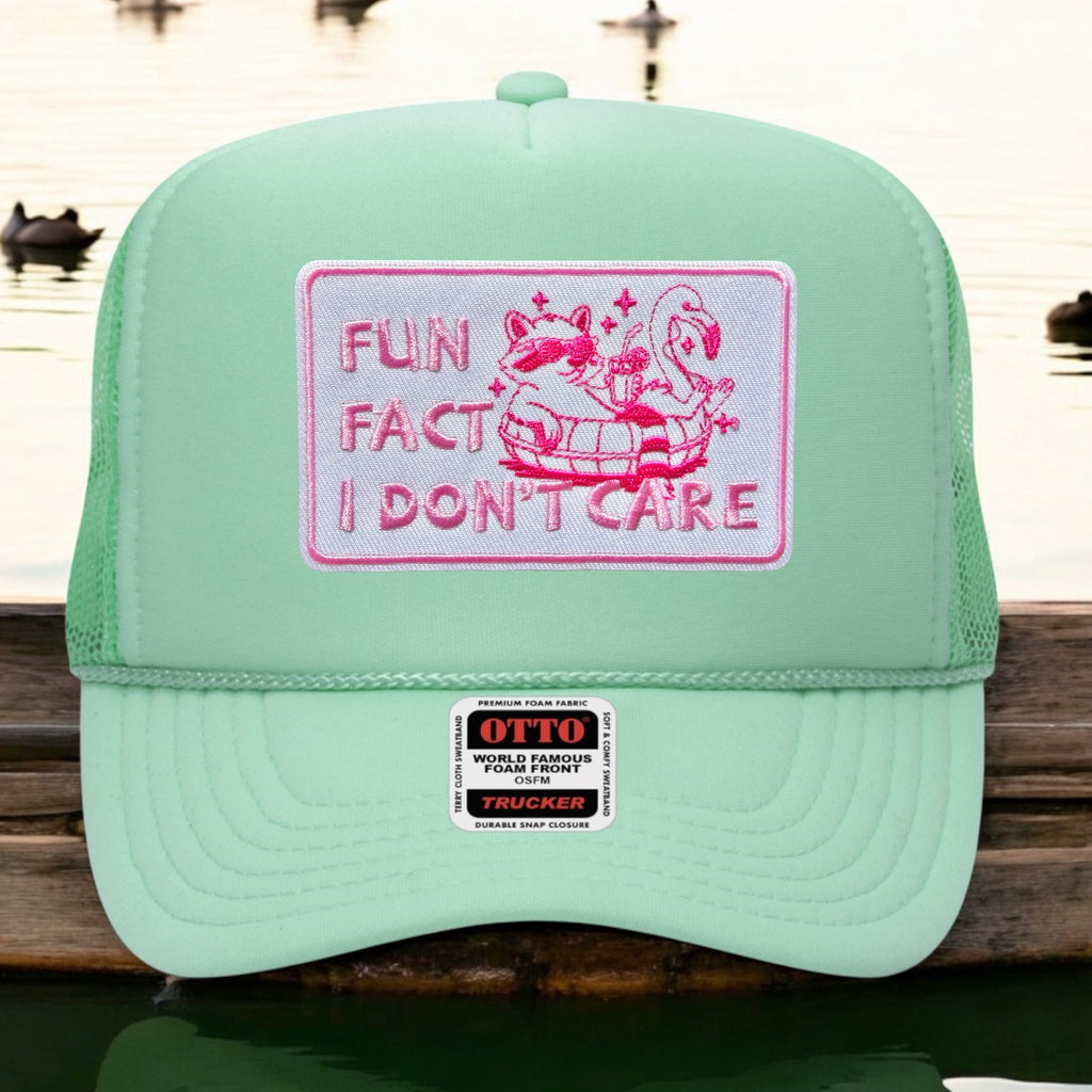 Fun Fact...I Don't Care