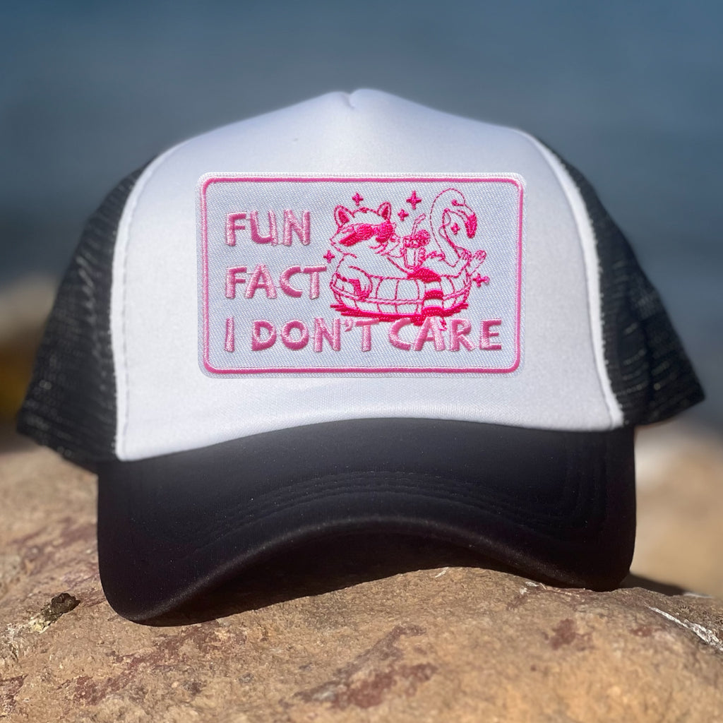 Fun Fact...I Don't Care