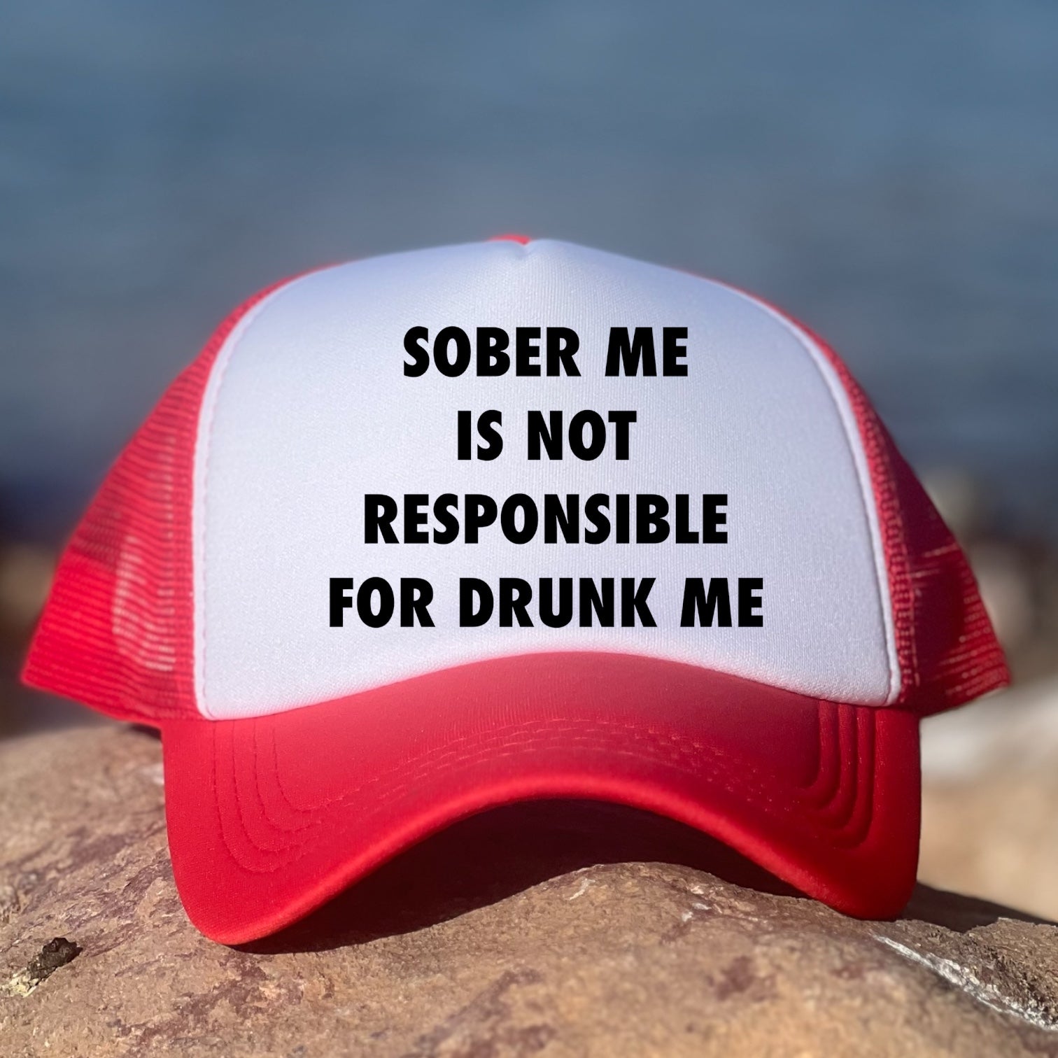 Sober Me Is Not Responsible For Drunk Me